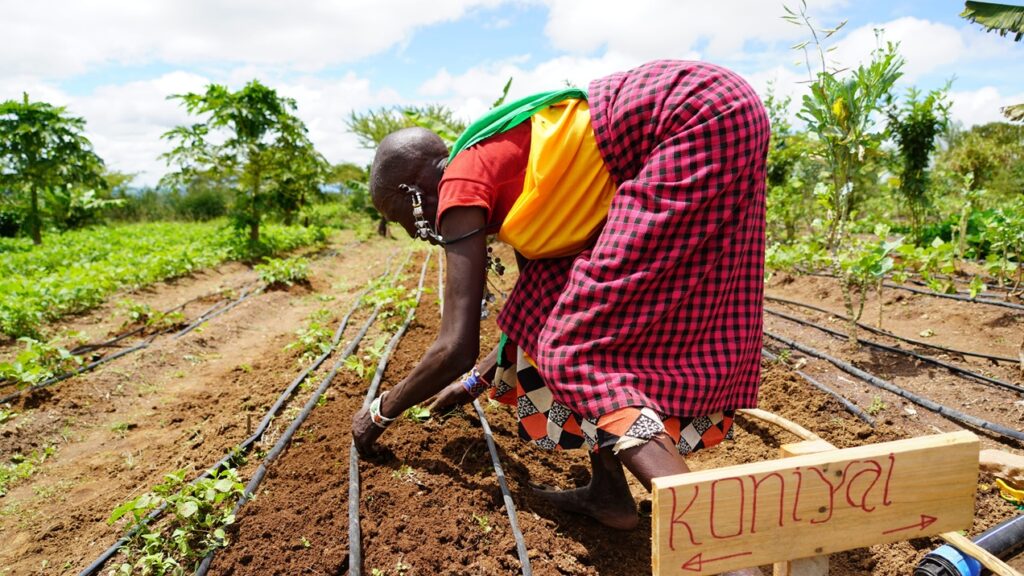 Maasai-vrouw bij een druppelirrigatie-installatie op een gemeenschapsmoestuin in Kenia.