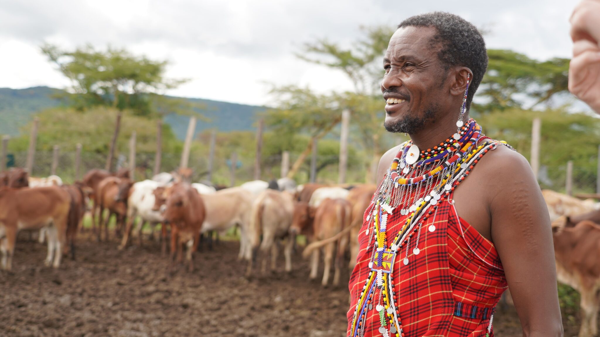 Een Maasai-veehouder in Kenia, gefotografeerd tijdens een veldbezoek door een Nederlands PI.